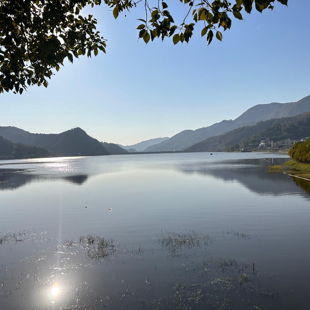 只用一次的账号