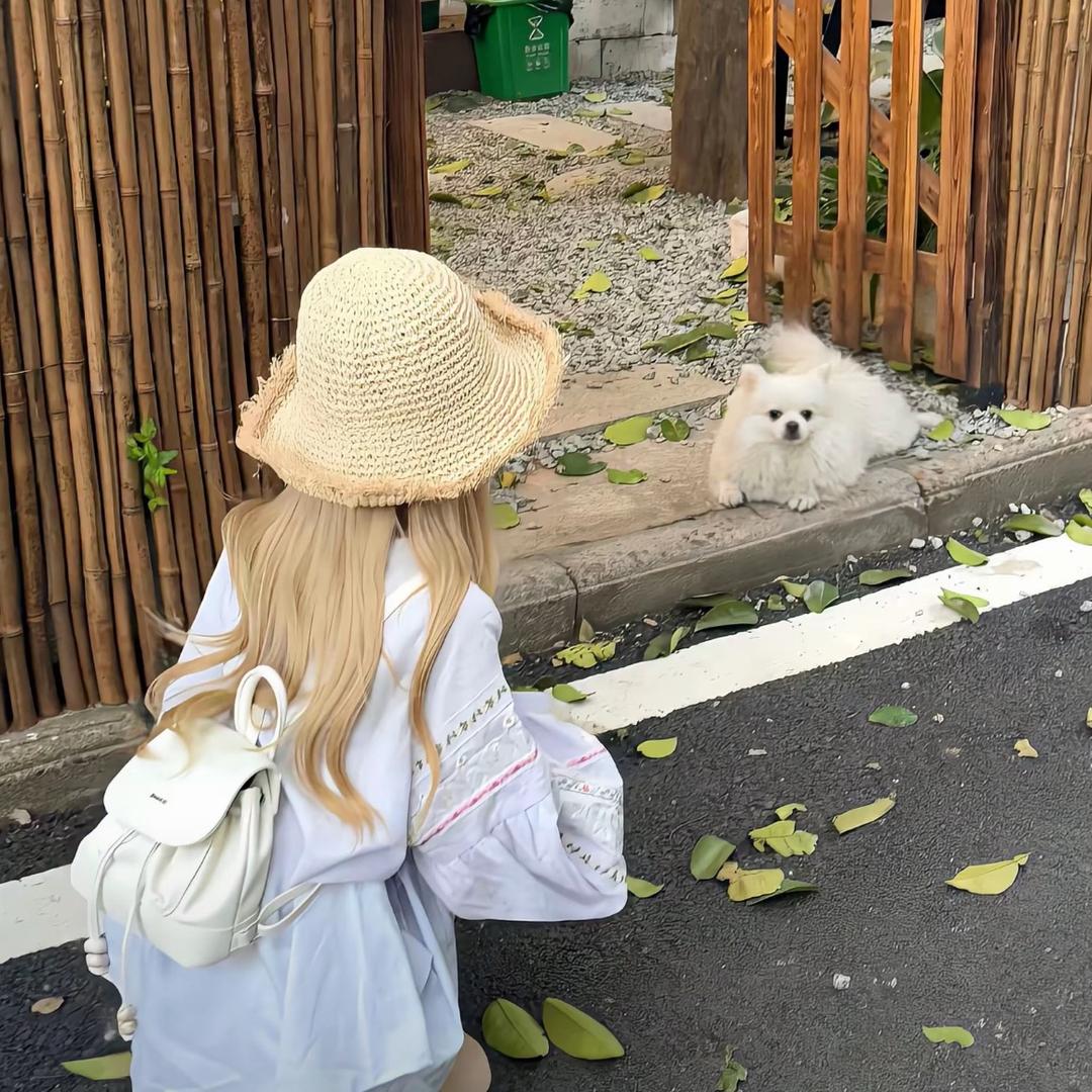 彩虹雨