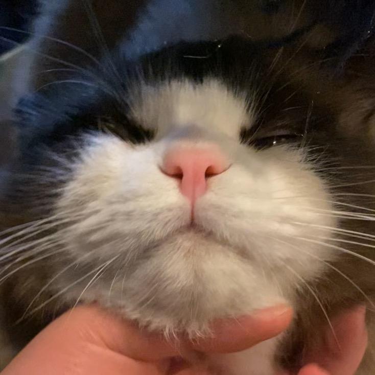 缸中之脑