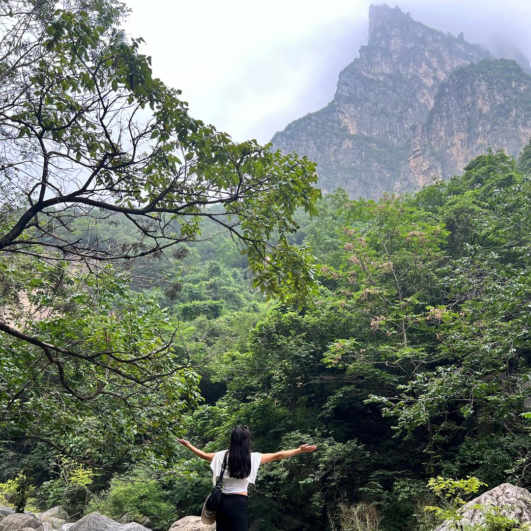 杨大粒