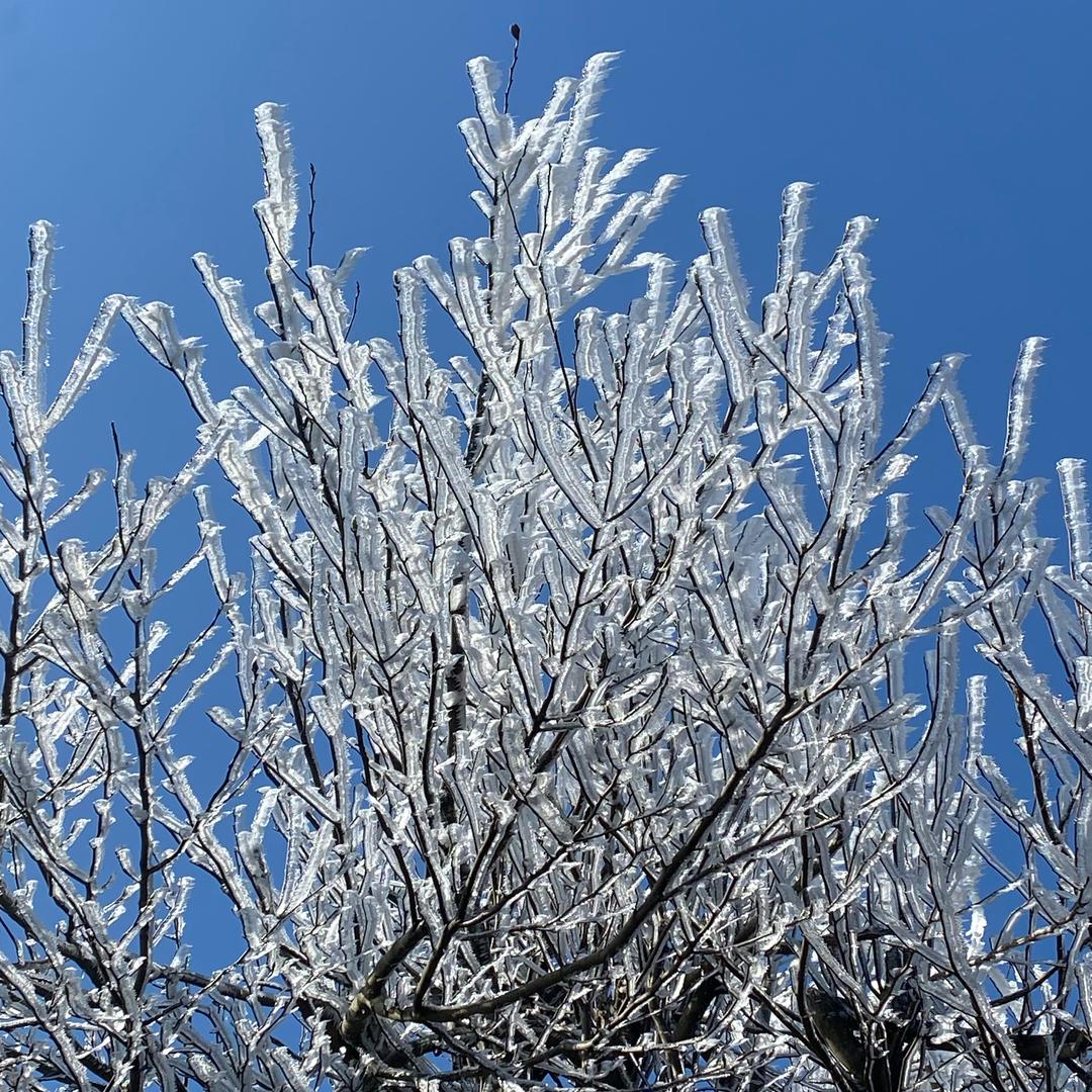 生活好物小助手