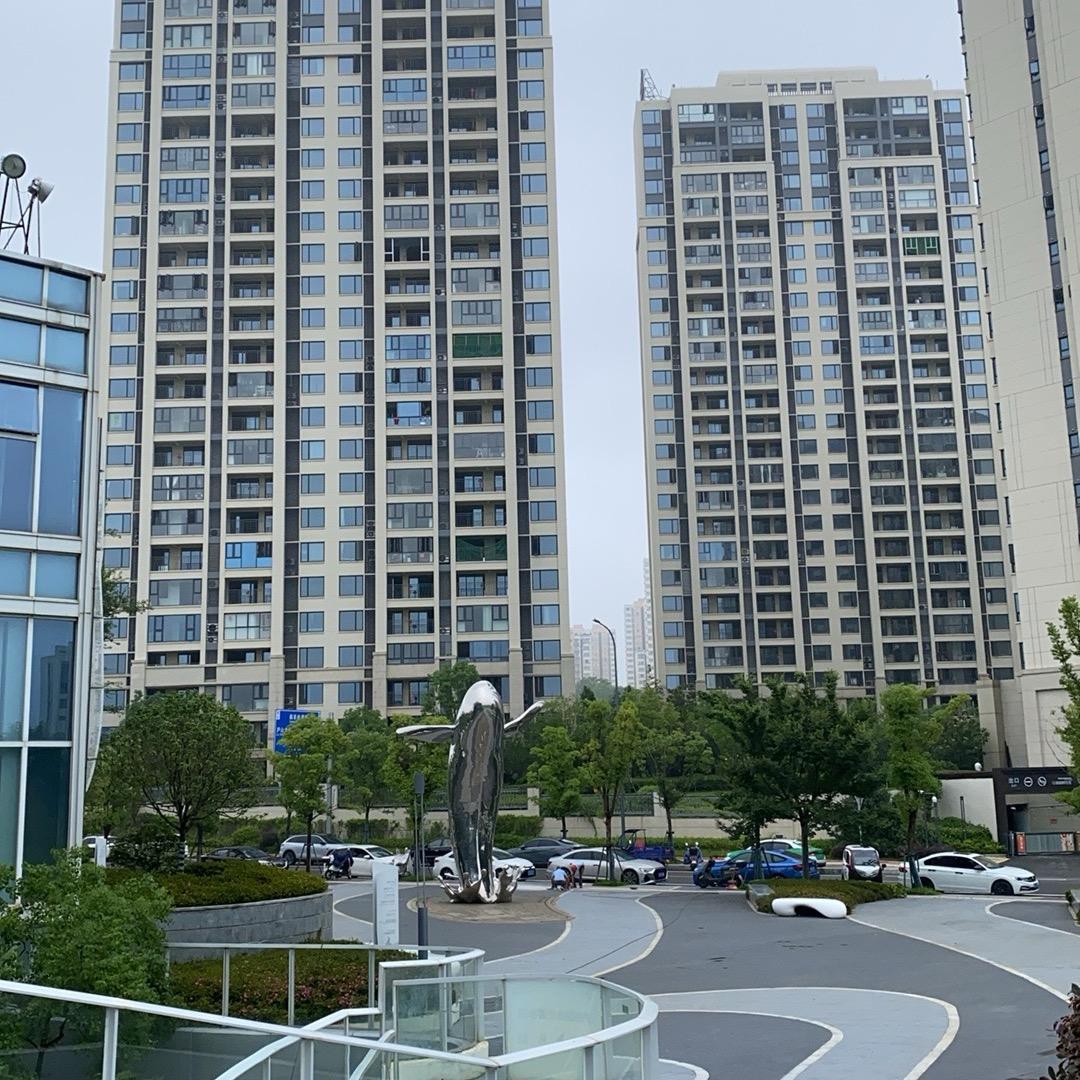 忘不掉的回忆