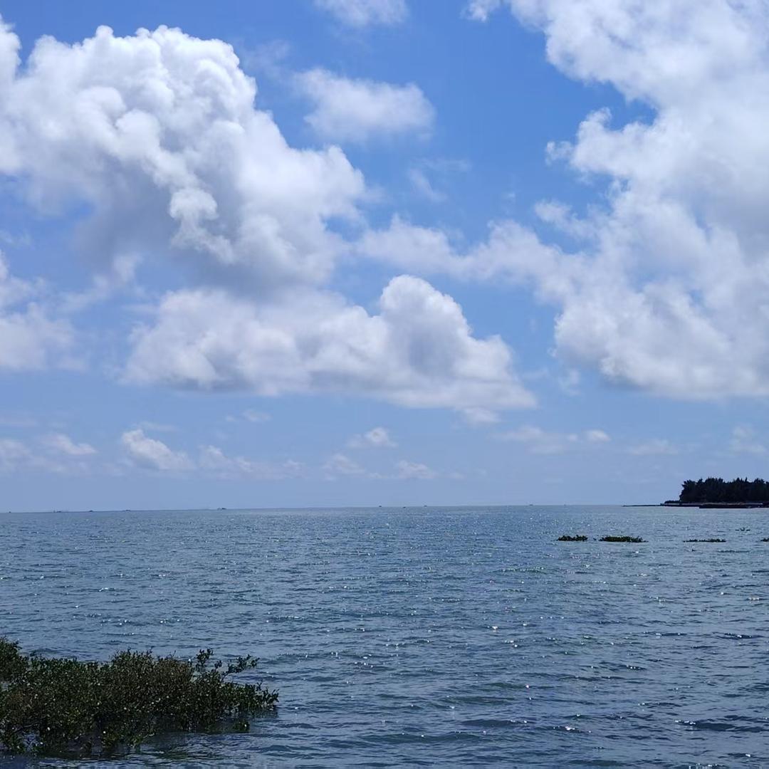 海阔天空