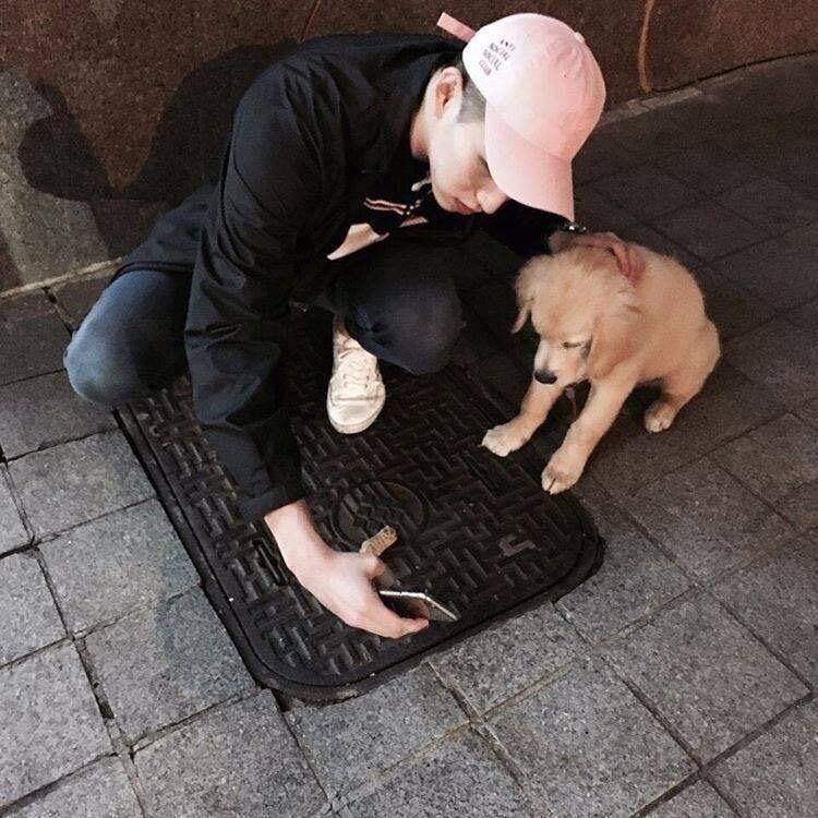 🌸白开水🇨🇳