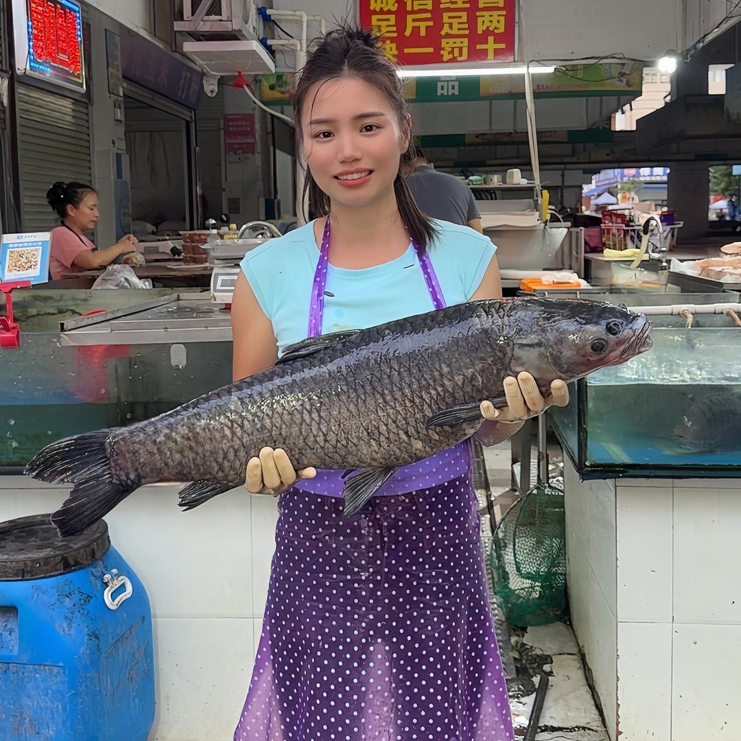 惠姐哟