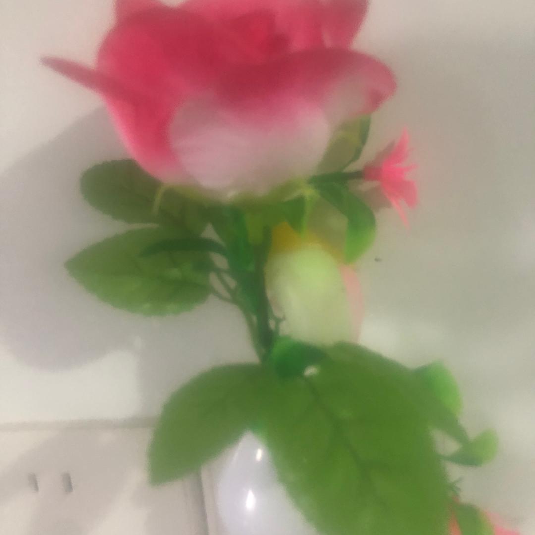 川蒙缘
