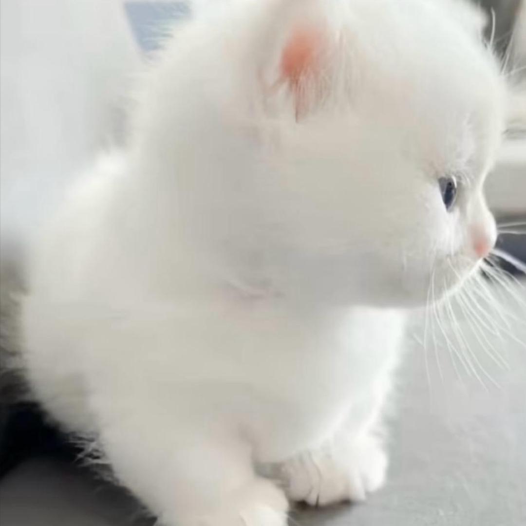 Preocupado