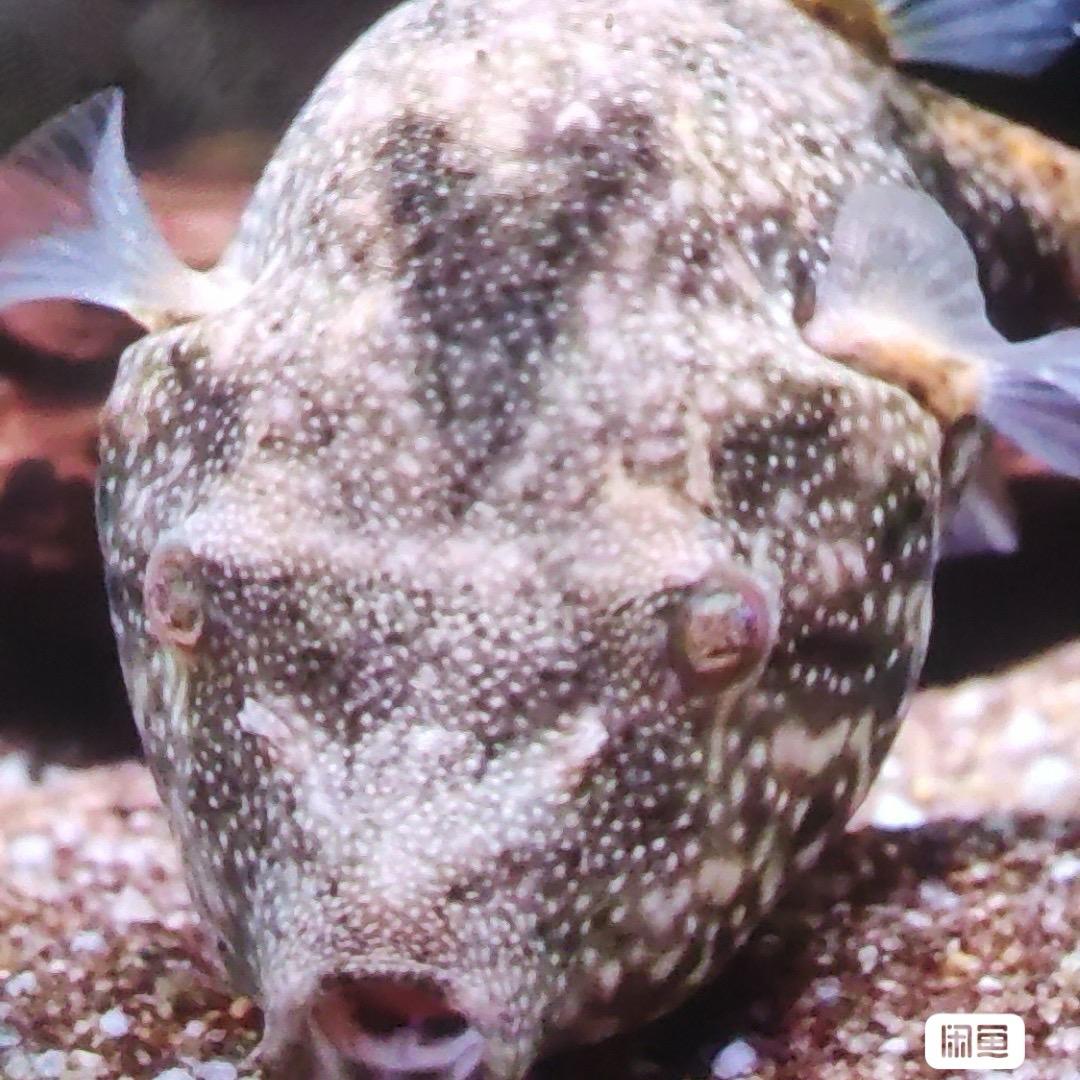 渔乐魚淡化水族馆