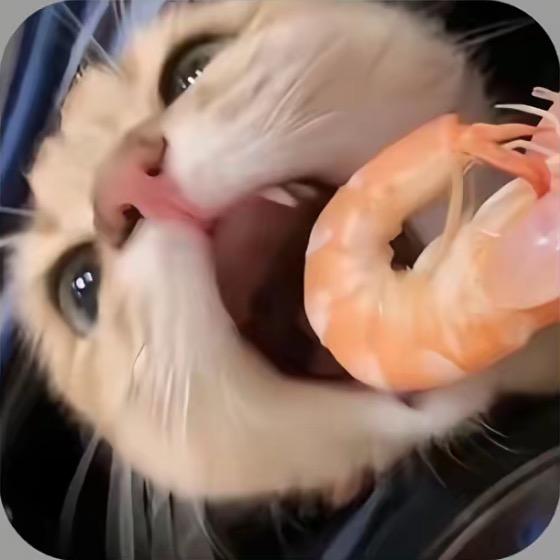 旋转轴