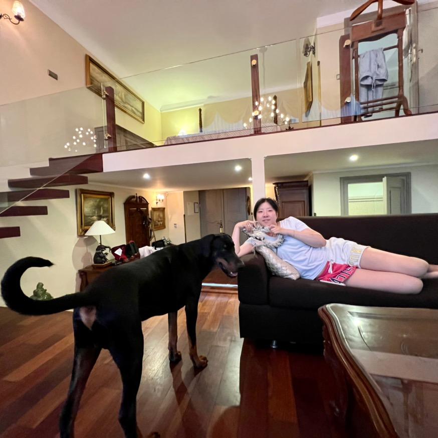 墨水心Vivi 🇩🇪