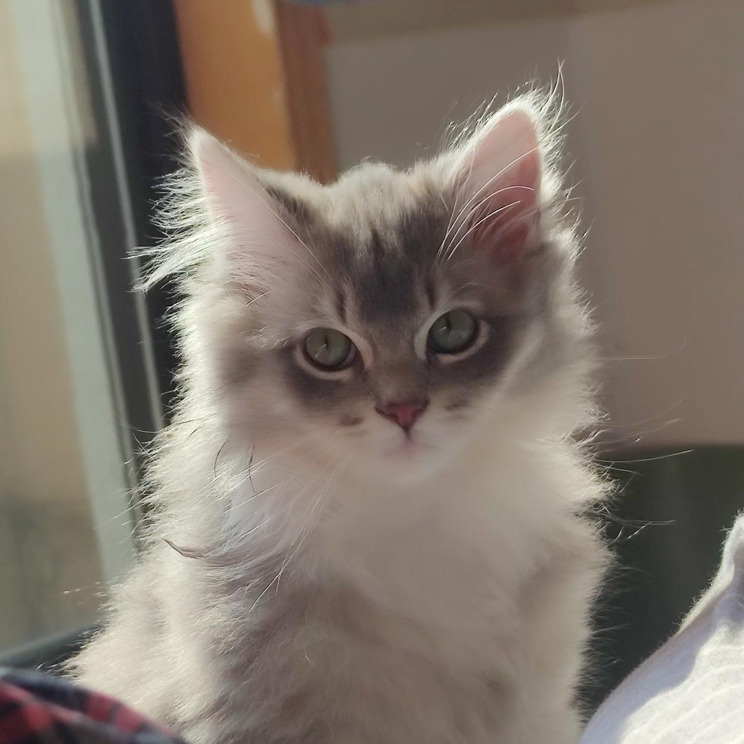 放长线钓大余～