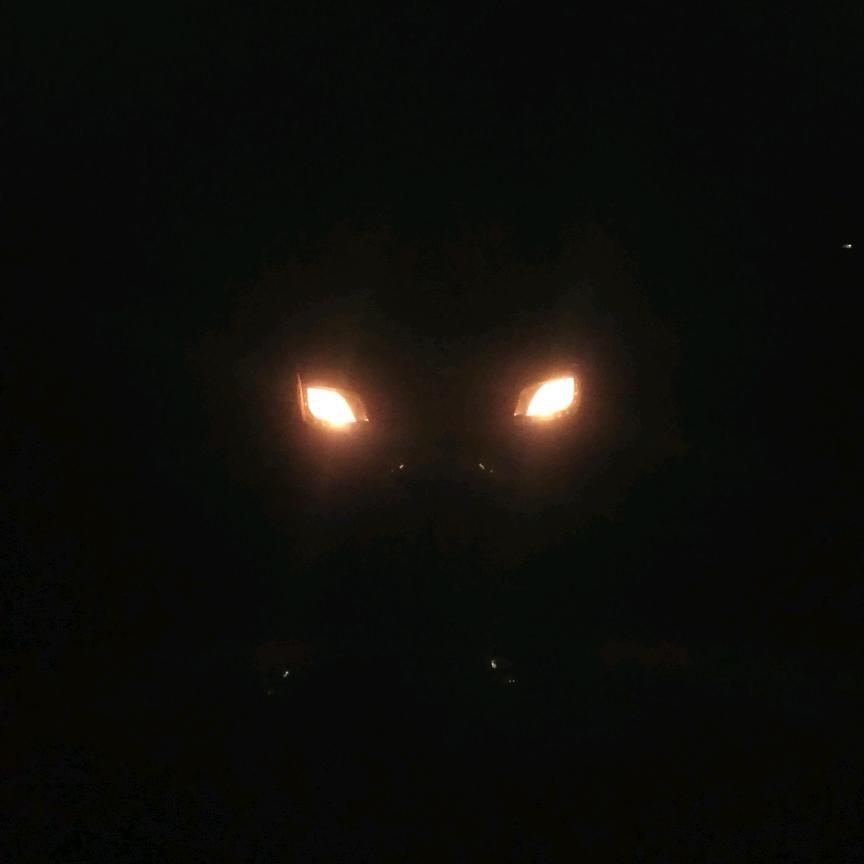 野🐺狼K歌房💯