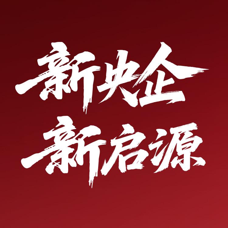 长安启源安徽万友高新店