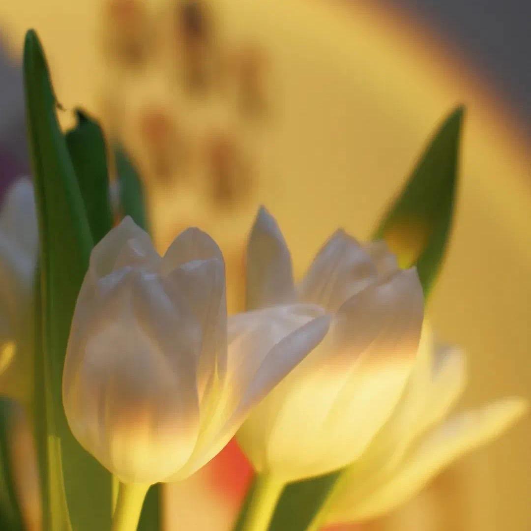 ᶫᵒᵛᵉ  D.💛