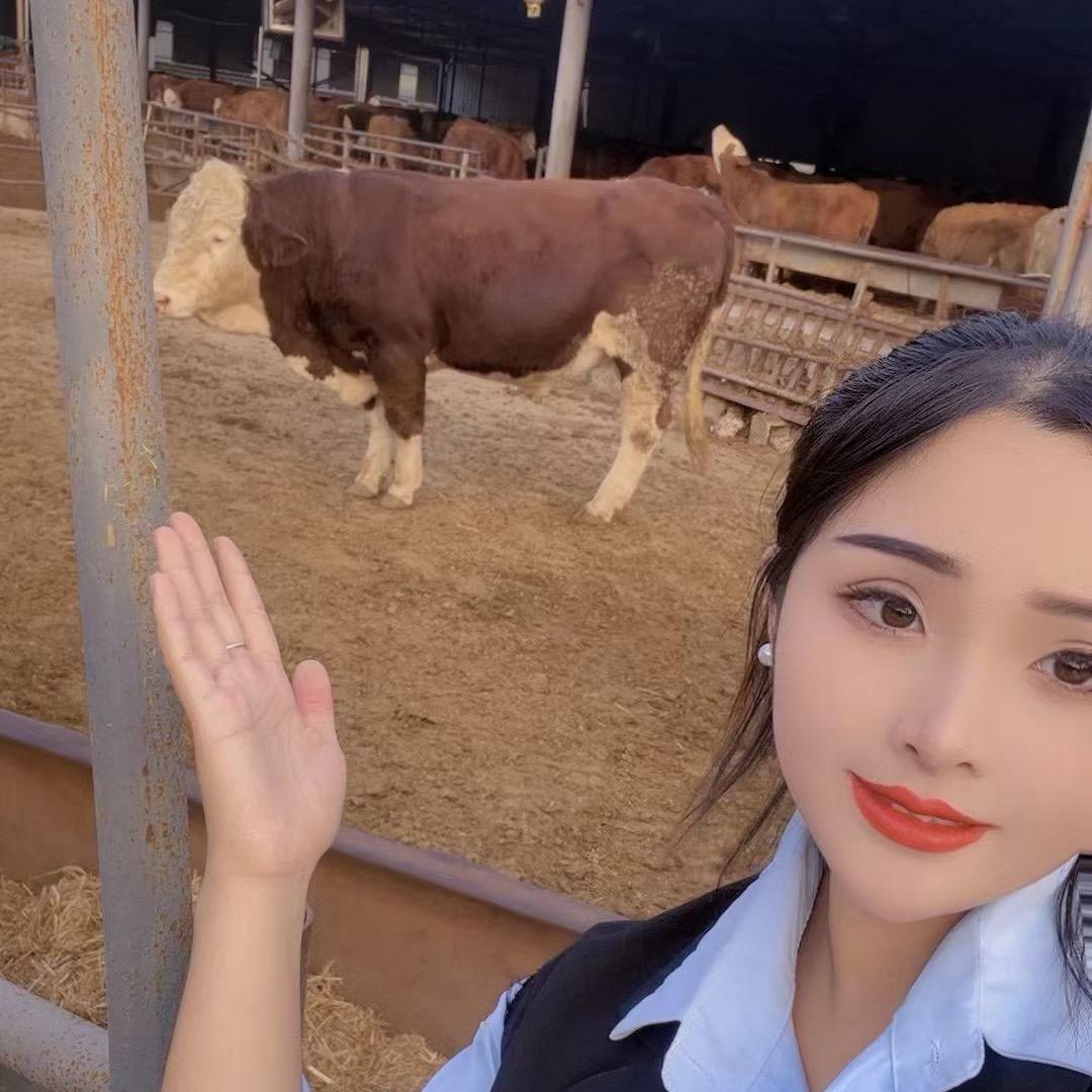 肉牛养殖场3播04