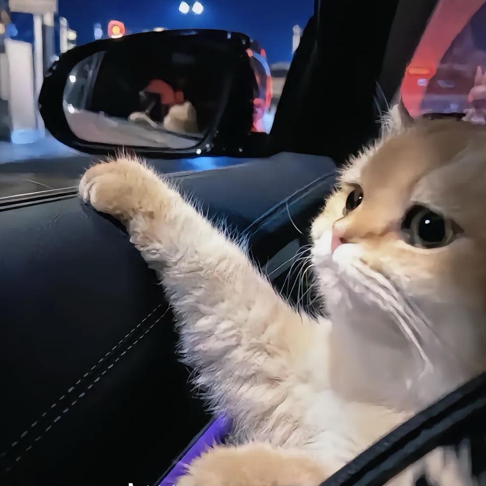 长安归故里，故里有长安