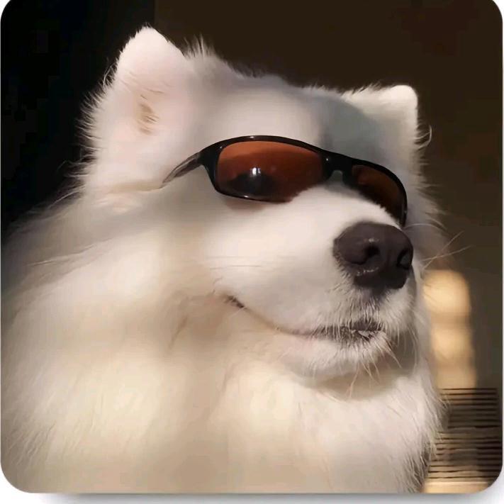 是粉笔呀