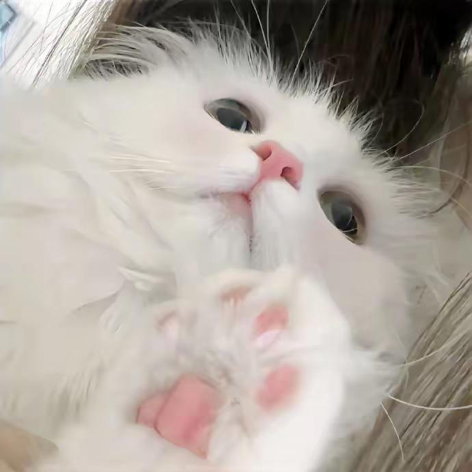 可能