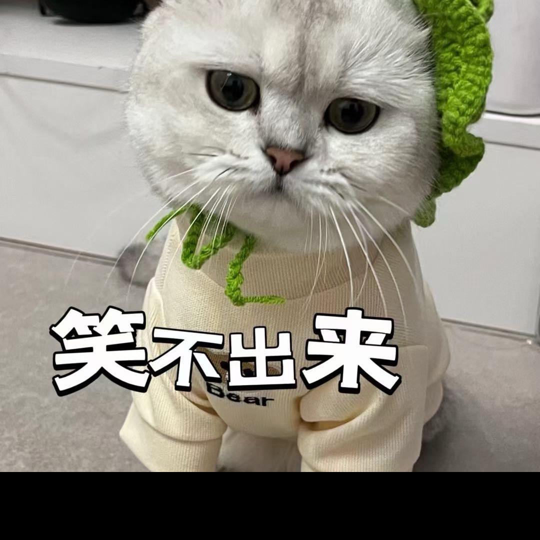 好运连连（首播）