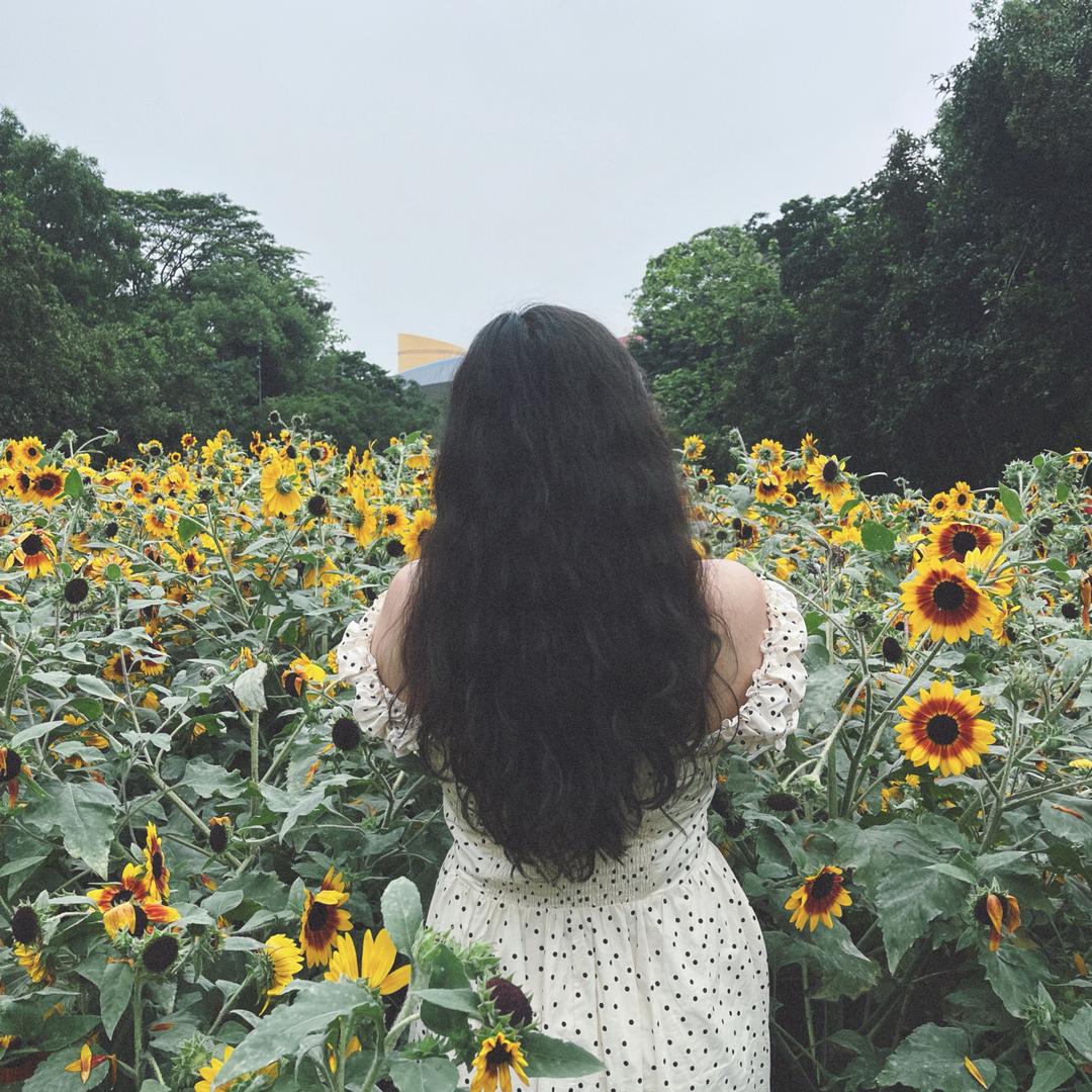 今天不想ᵉᵐᵒ.