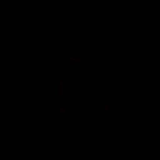 pollux