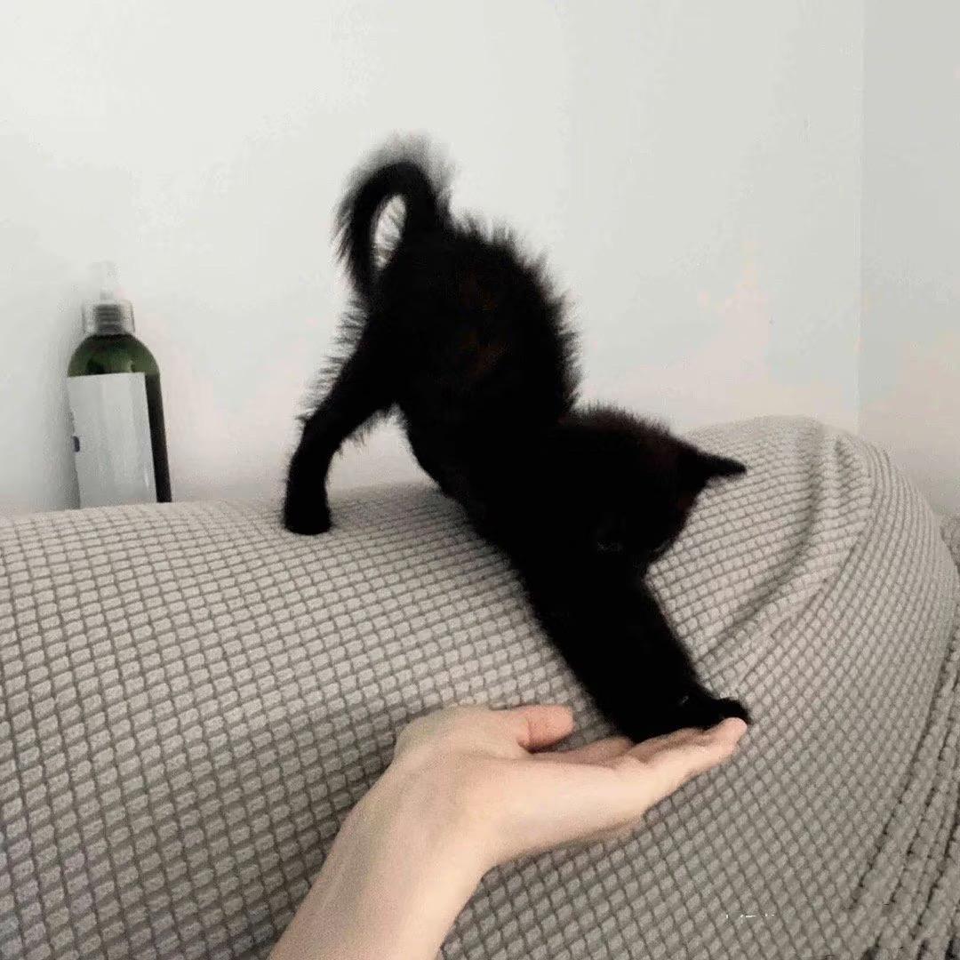 wy