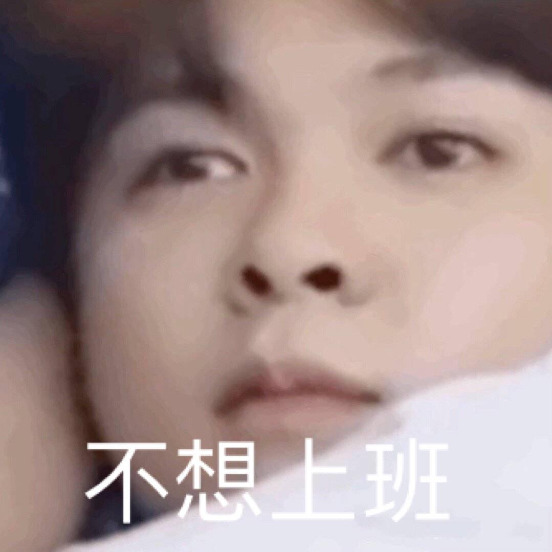 Xu_shiyan（迅猛龙的小狗版）