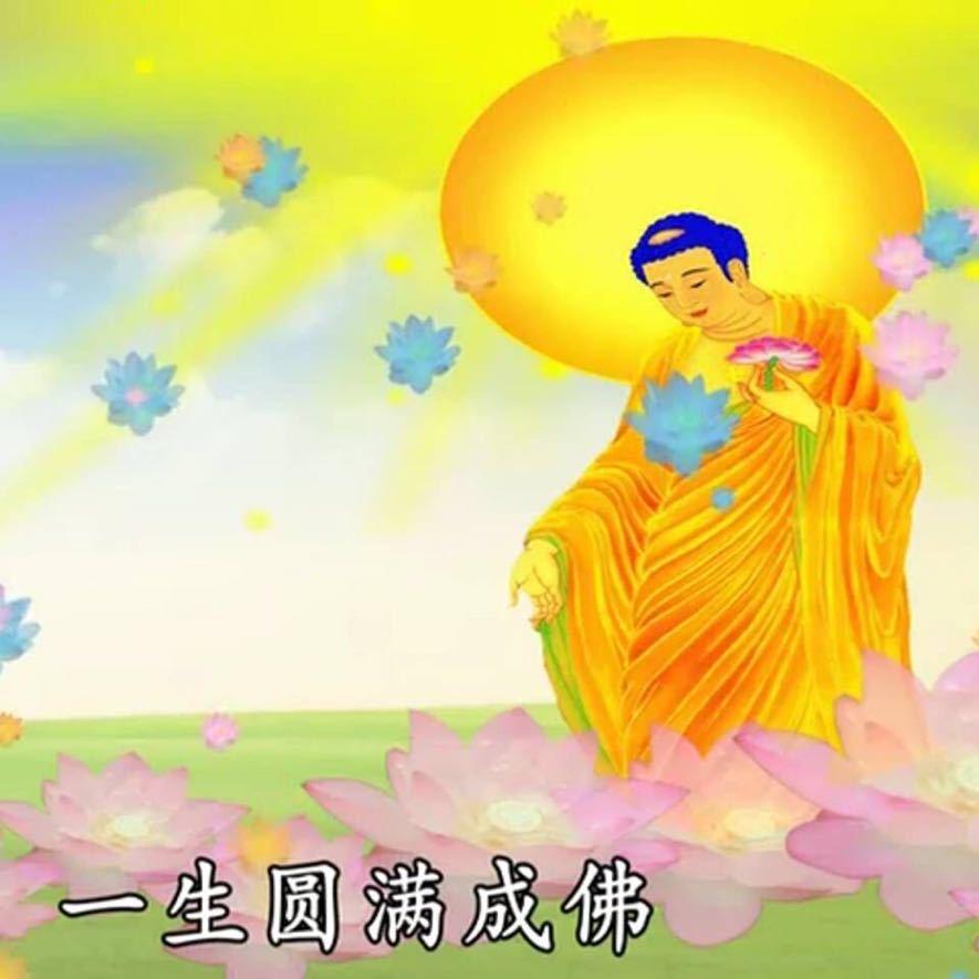 智空师傅