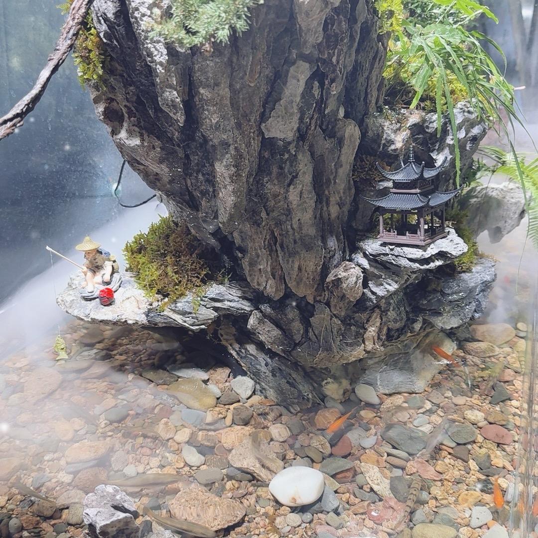 老丁水陆景观