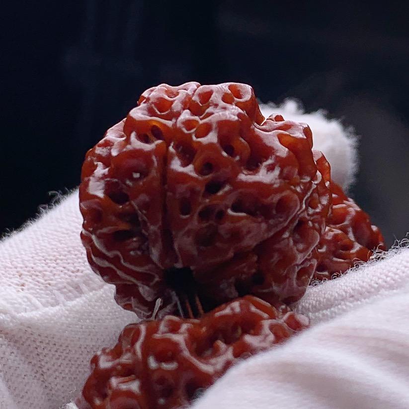 意心文玩菩提工作室天选