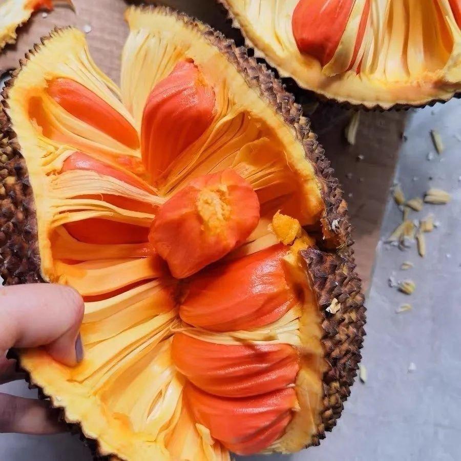 博信果然好果业