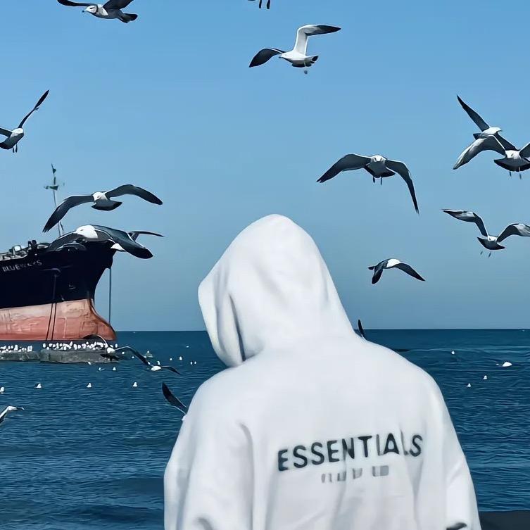 浩哥看剧
