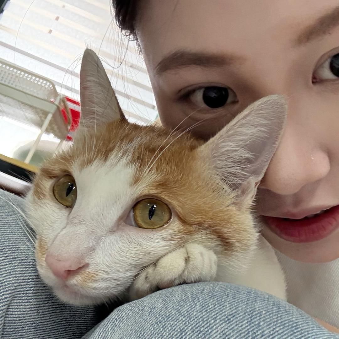 发财小敏
