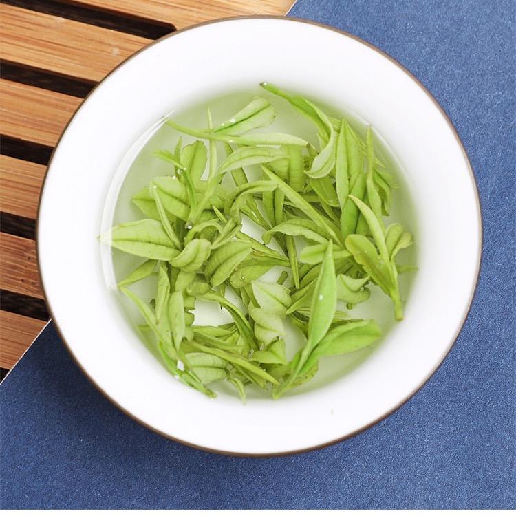 小汐茶园
