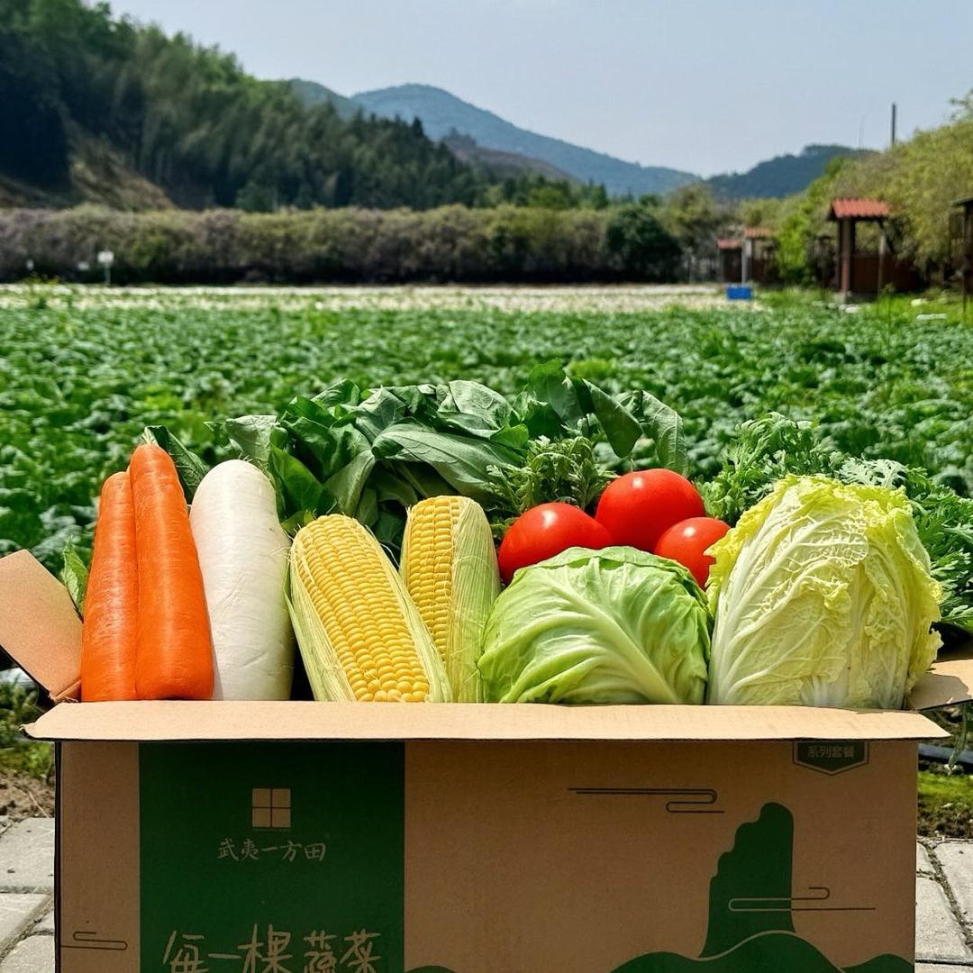 武夷一方田散养土猪