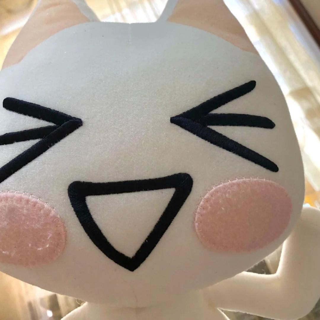 🍊🐱