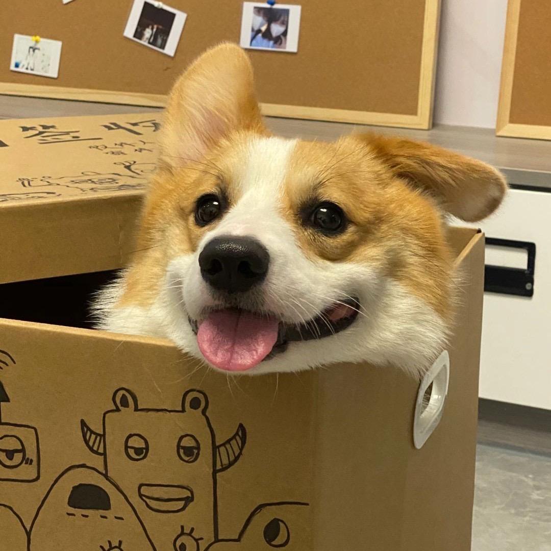 ￴ ￴ ￴ ￴ ￴ ￴￴￴ 池渔