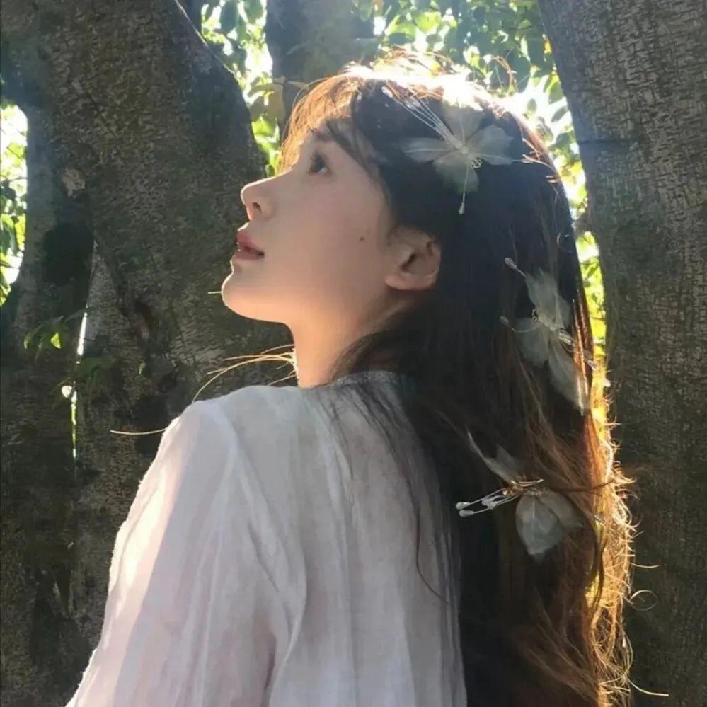喵喵🐱