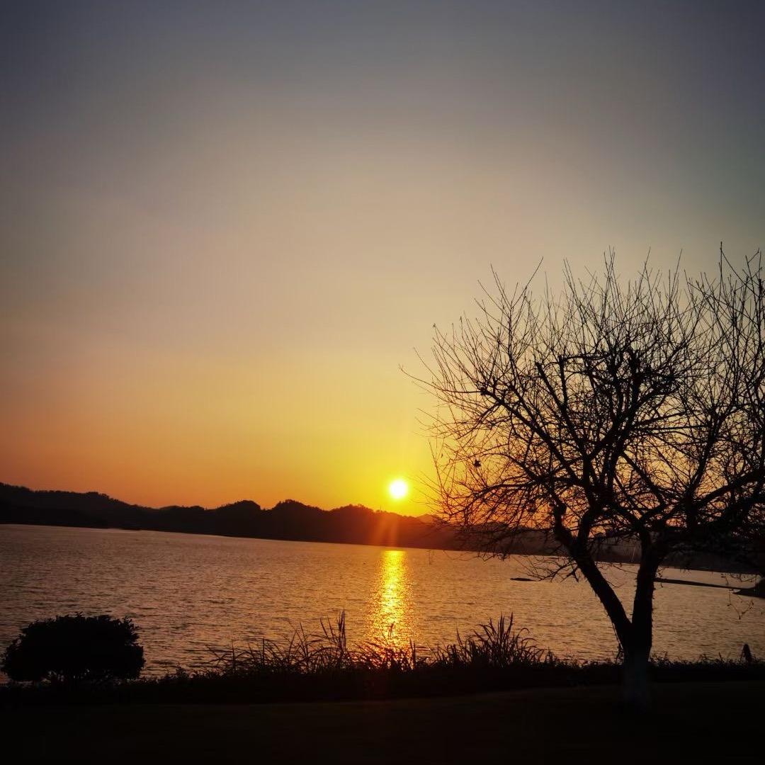 企鹅の裙611.531.251