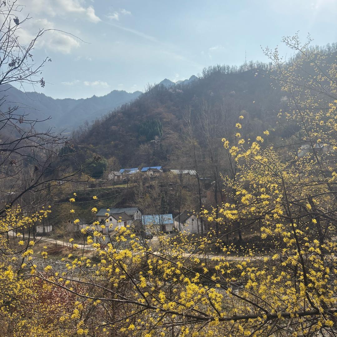 南召县伏牛山小妹土特产