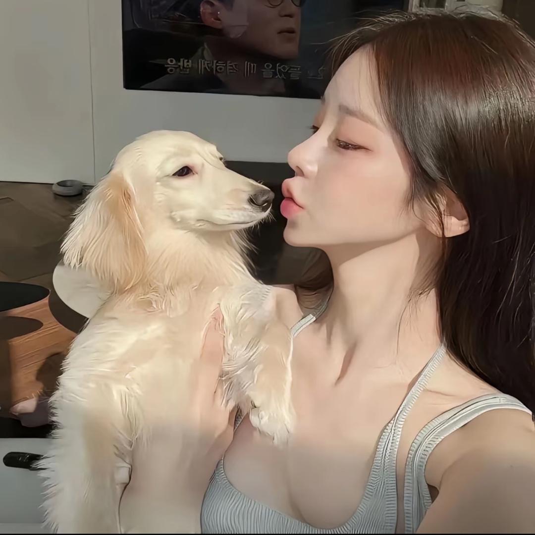 不吃草🌿
