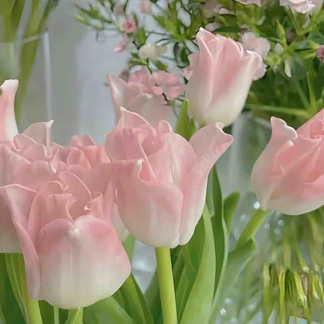 坤潮花卉