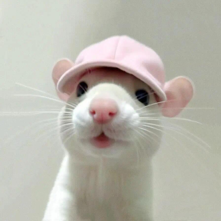 小鬼🧀