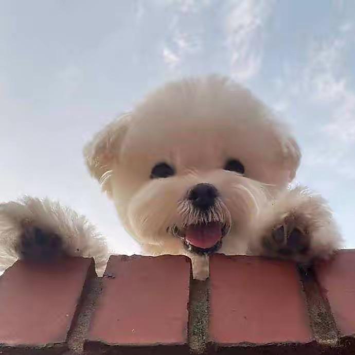 小木木🐣