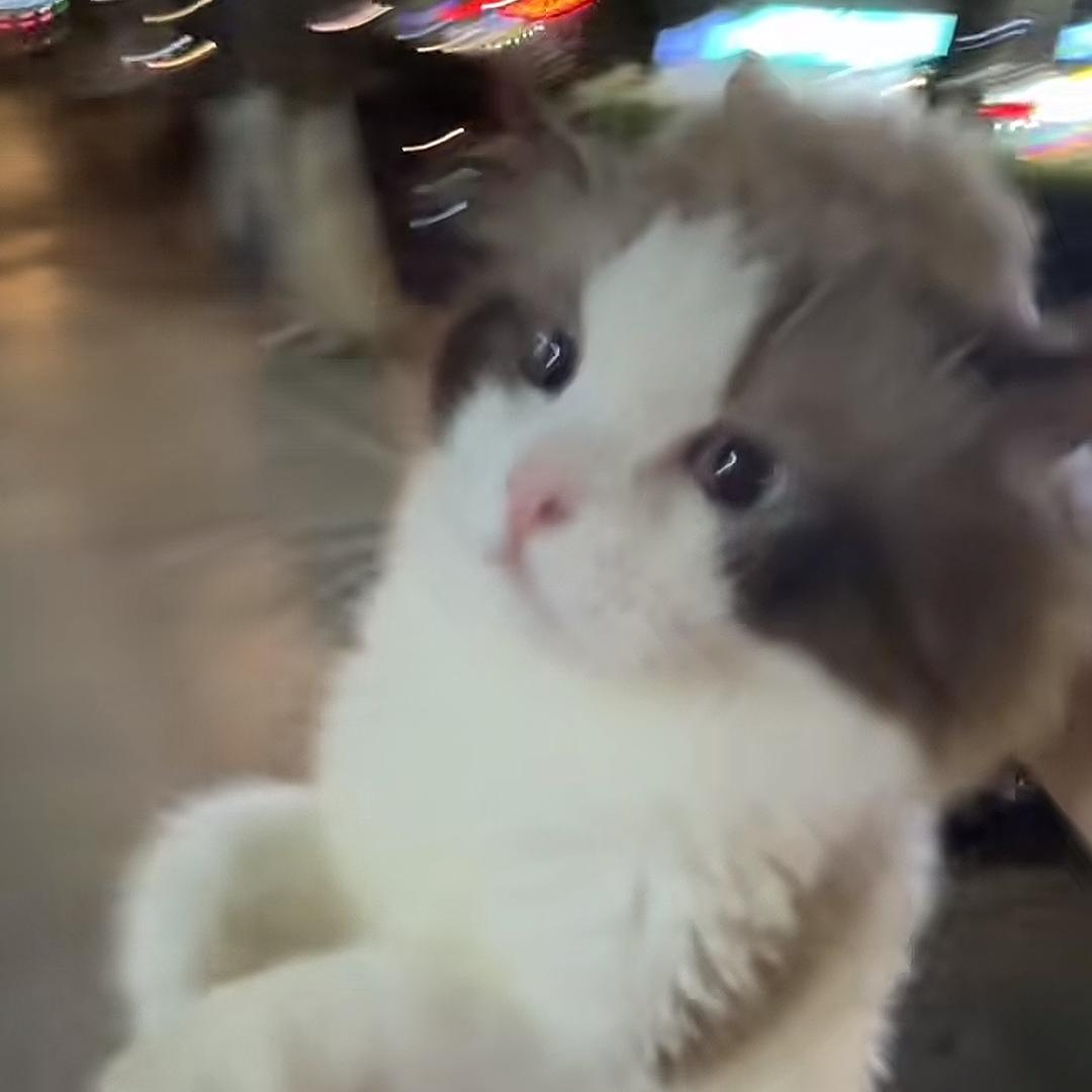 你还好吗？