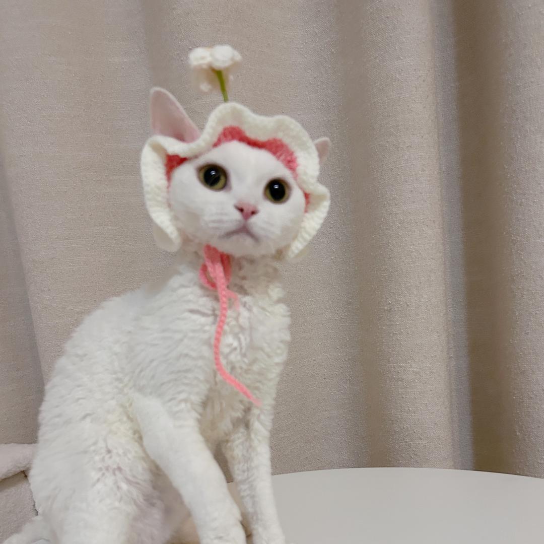 泡芙