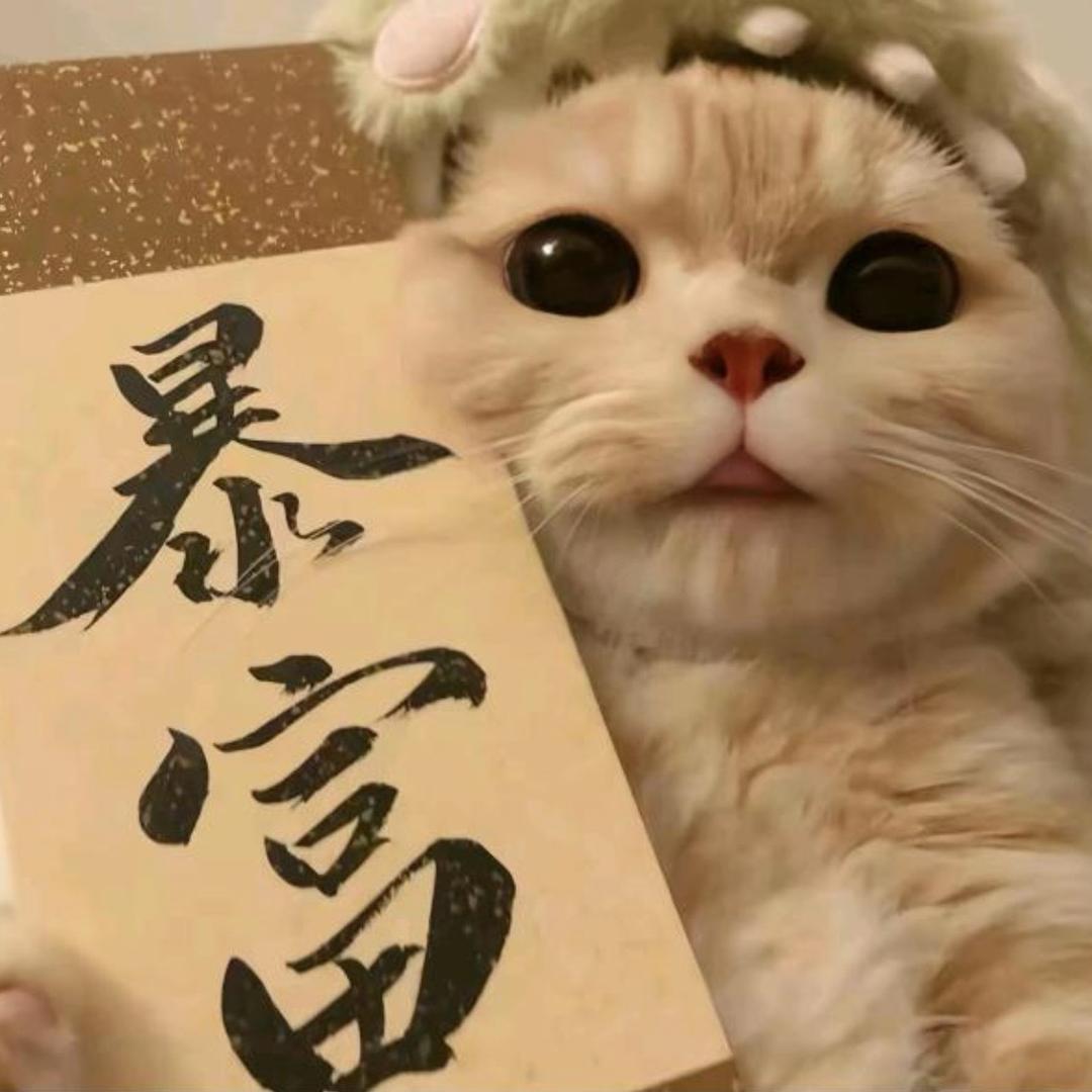 运城领绣墙布窗帘