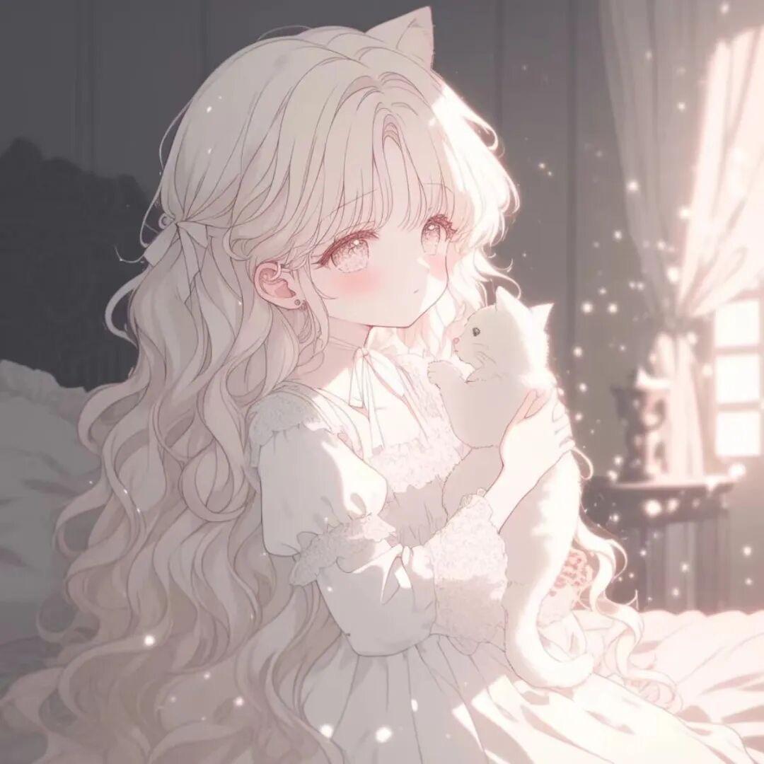 星河🦩皓月¹⁶⁸