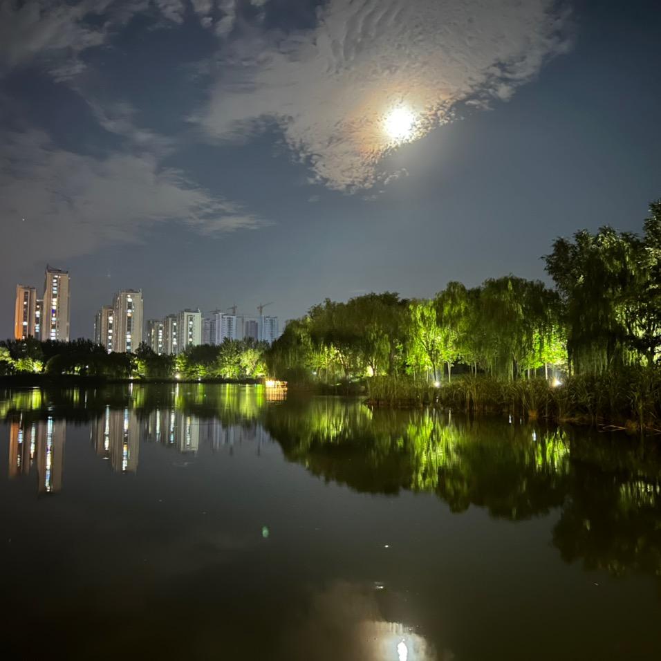 纬