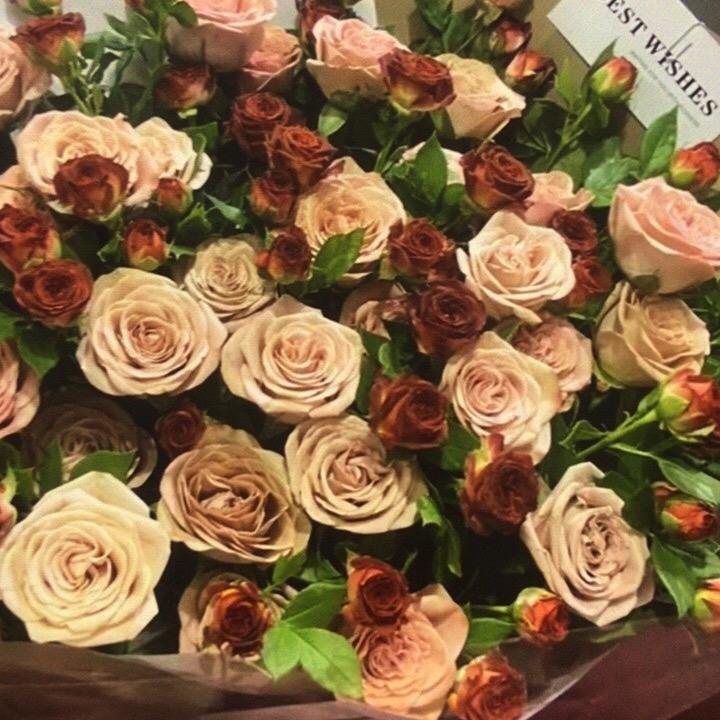 上海方定教育科技有限公司